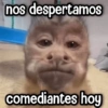 Changuitos Reacciones! 🐵🐒 12