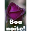 Boa noite Flores 19