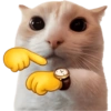 Gatitos para el chat 🫪 2 7