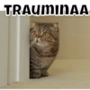 TRAUMINAA