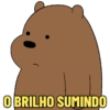 URSOS SEM CURSO 🐻🐻‍❄️🐼 11