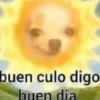 buen culo digo
buen dia