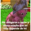 Uwu 13