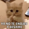 Dilo con Michis pt.6 🐱🤎 14