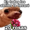 En todos los abriles te llevaré geysio 20 rosas