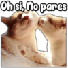 Oh si, no pares
Kontsickypast