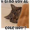 Y SI NO VOY AL
COLE HOY?