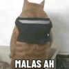 Meme bakekok cukurukuk 5
