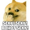 Cheems & Dogesh 7