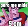 Dragon Ball Shitpost 6 12