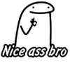 Nice ass bro