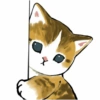 Abel's cat 1 24