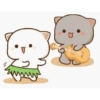 Gatitos enamorados 27