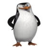Pinguim 12
