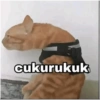 Wkwk 23