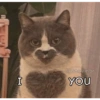 Miau miau caralho 4 11
