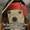 Payi
Te quiero mucho
Johnny Depp