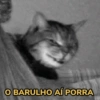 Memes do zap  13