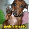 CACHORRO SALSICHA  14