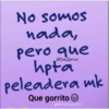 Notas 24