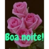 Boa noite Flores 5