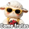 Oveja 🐑🤟🏻 8