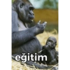 eğitim