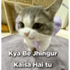 Cat love 8