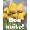 Boa noite Flores 13