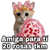 geysioy Amiga para tí 20 rosas tkm