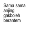 Meme kata kata 24
