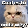 Cual es tu
onda wey?