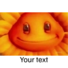 Your text