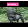 Romantik
