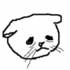 Meme Hello Kitty Random 🤣 15