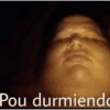 Pou durmiendo