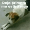 Stickers que necesitas :) 7