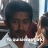 Ya quisieras gato