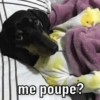 JÁ BAIXOU ESSAS FIGURINHAS?🤣 5