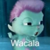 Memes pal chat🤎 7