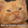 Cómo q me despida bien? 🤨 8