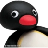 Pingu 🐧 6