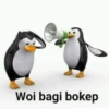 Pinguin 5