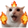 Gatitos para el chat 🫪 2 11