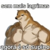 Academia memes 🏋‍♀️ 3