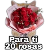 geysioy Para ti 20 rosas