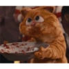 Miau 14