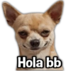 PAYI Hola bb