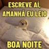 BOM DIA/BOA TARDE/BOA NOITE 😘 9