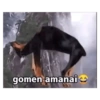 gomen amanai